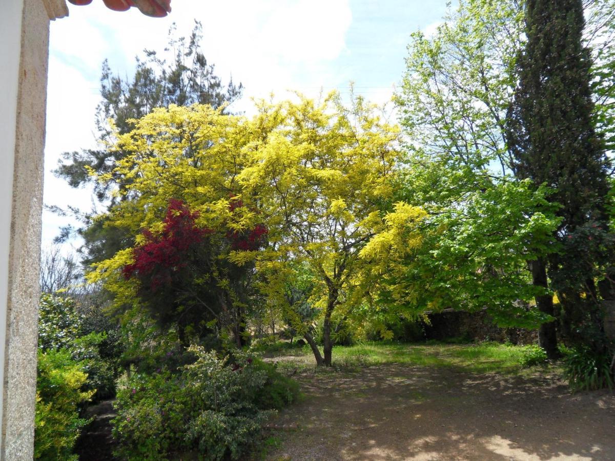Quinta Do Bento Novo - - Holiday home *