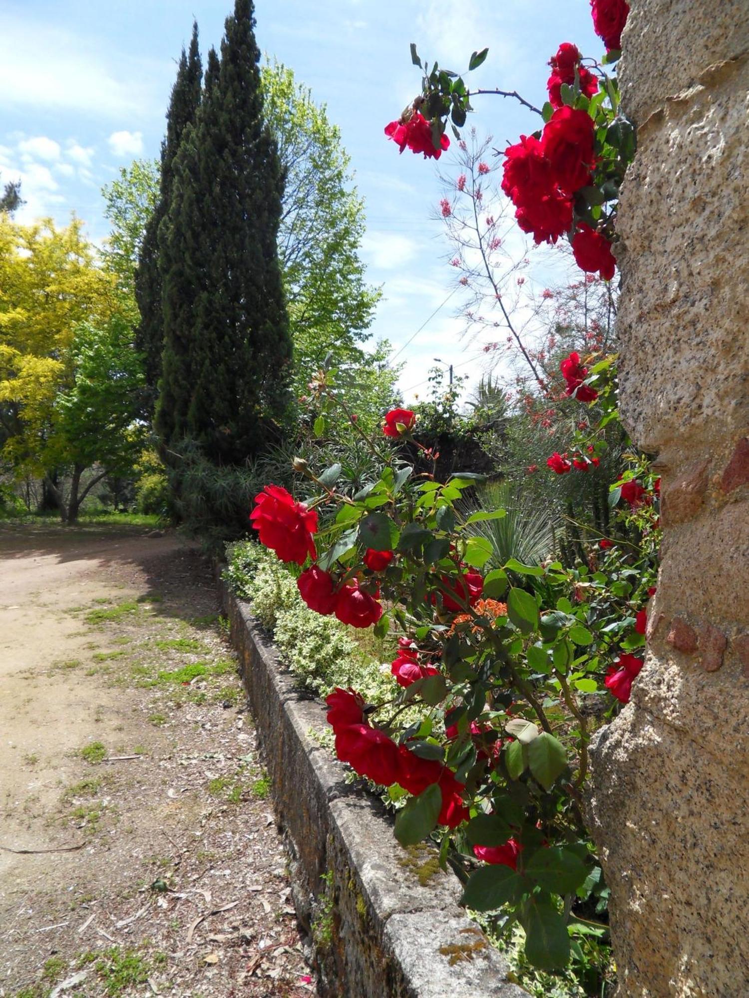 Holiday home Quinta Do Bento Novo - - Viana do Castelo